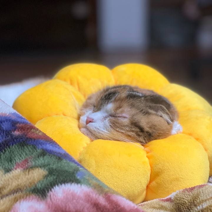 8d09a07c 77b0 49b6 801b 9f3fe9dc7bc0 1646776351326