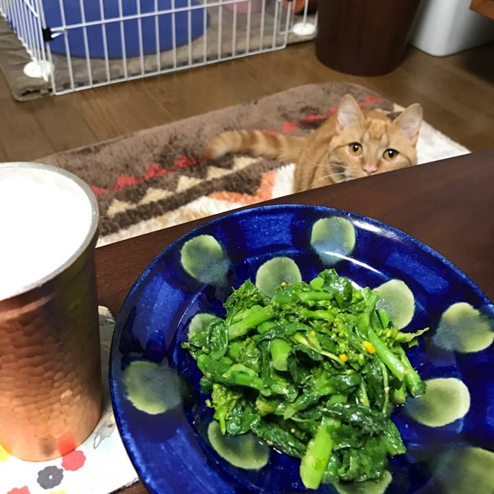 8d09a438 096c 4cfa 8c6c f64f18aa7ddd 1520336946592