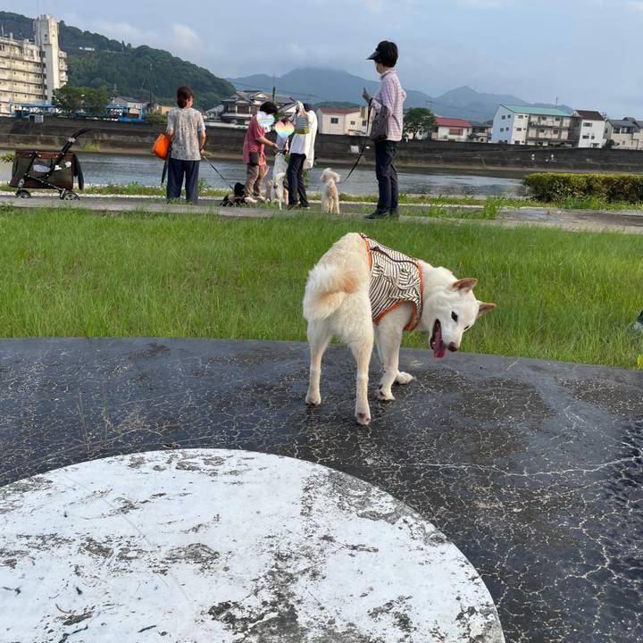 8d0a6416 8ca3 43e2 9c4a a0ce079ffb41 1655980603021