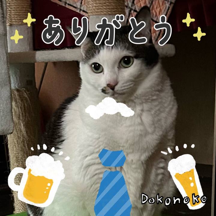 8d0a7e2e 2592 44b1 9a74 f94994be1b03 1717633045991