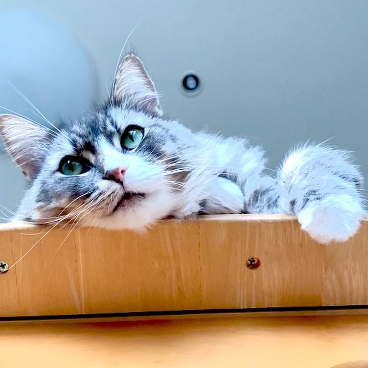 8d0a870d 0ec2 45e9 a20e 2a1569589319 1662172522834