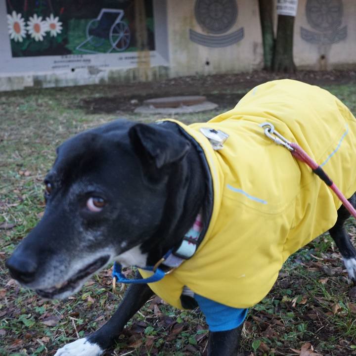 8d0aa1e9 98c8 405e a828 65e706749016 1767230480936