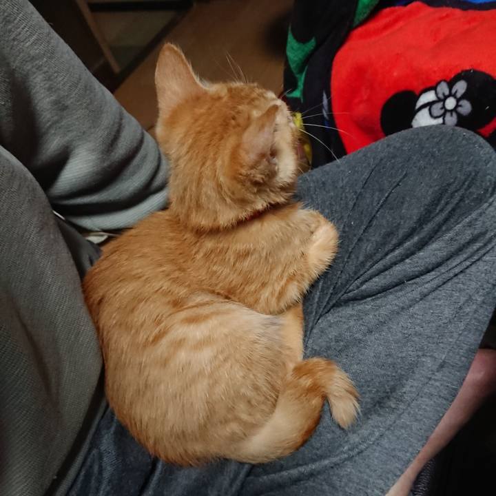 8d0aeac5 023d 4b05 81cc 04cb2f4db0e4 1632343972999