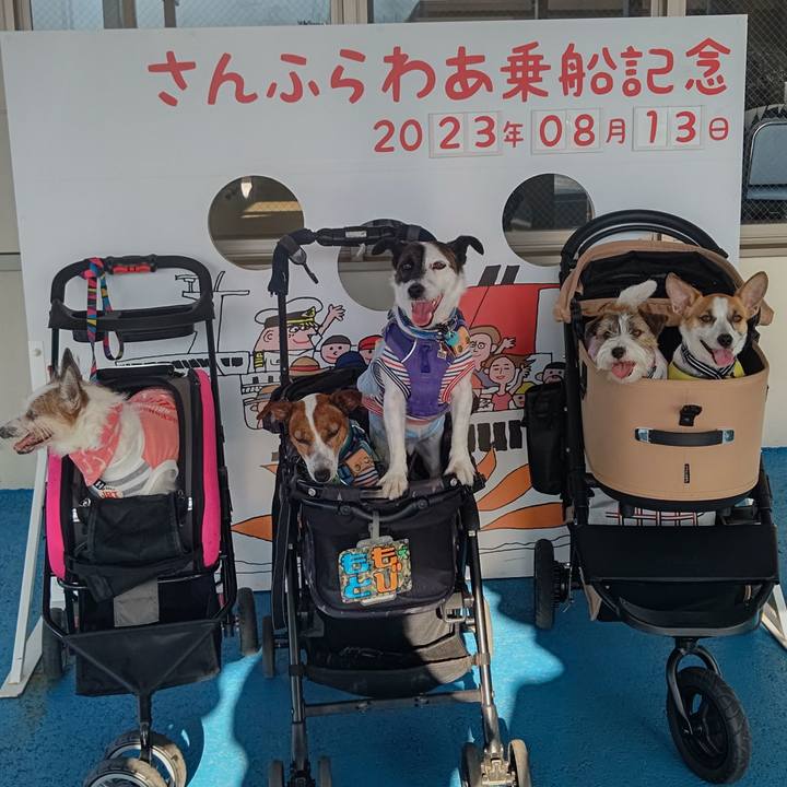 8d0af52e aadb 4776 939c 0de24e6e7cfd 1691921165605