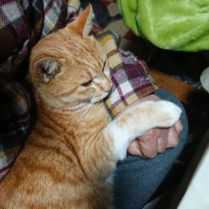 8d0b62c0 847a 44aa 9c2c 52d230632da8 1582492017355