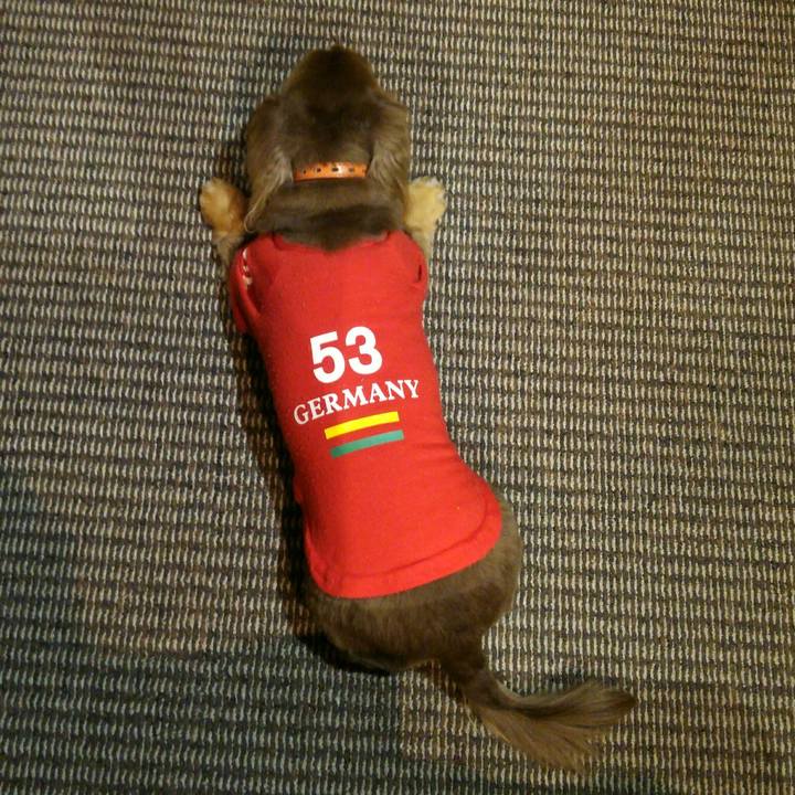 8d0b744c 28dc 4443 b1e2 d7cbd230d36d 1544020282821