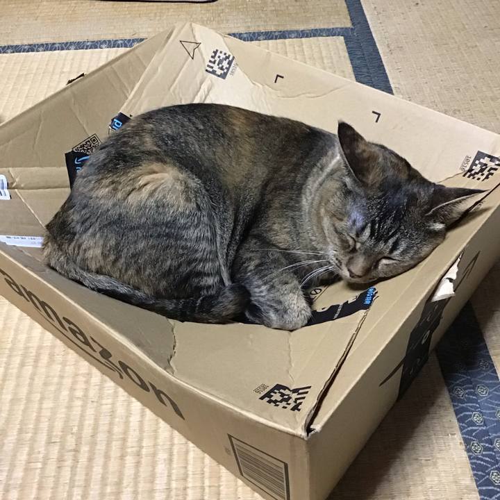 8d0b9139 6d4c 4260 9ff5 986591207900 1724411606263