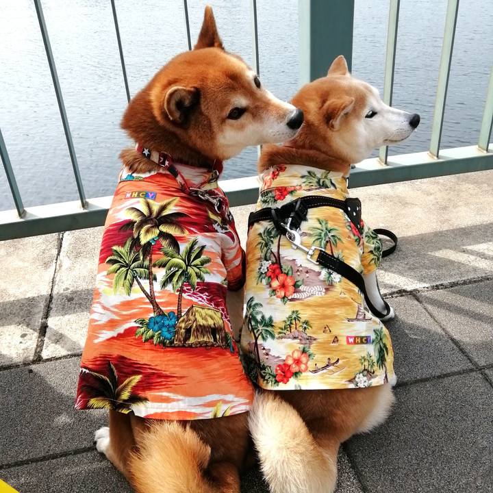 8d0b9bfb 03d1 4880 be31 db74429b2881 1647224493089