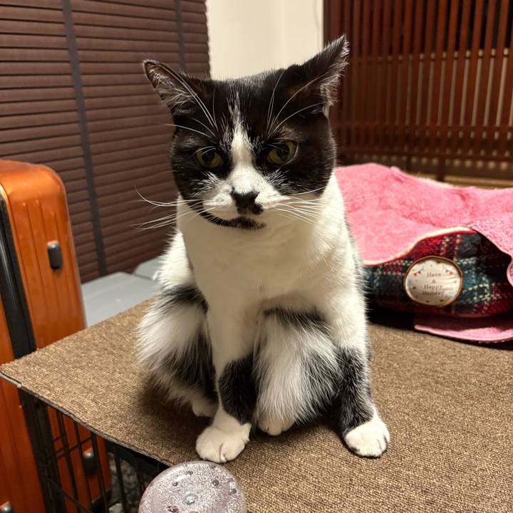 8d0bfeab 3f74 47b0 9daa 434cad91b84e 1764763601986