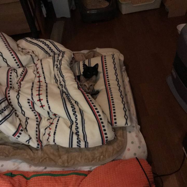 8d0c1028 dbad 4091 b2de 8019d7937846 1554774010489