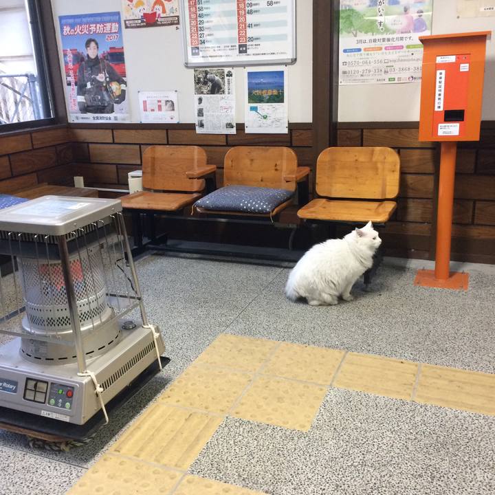 8d0c719b 7bbc 48a1 9c06 85685a8f186f 1510093895642