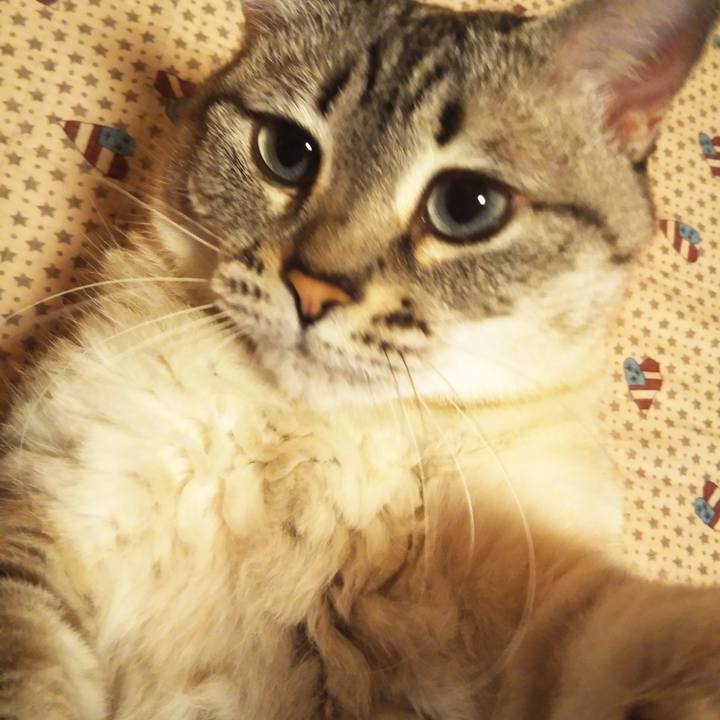 8d0c73e0 3ce0 4cdb bf21 f19d7500c56a 1624538181569