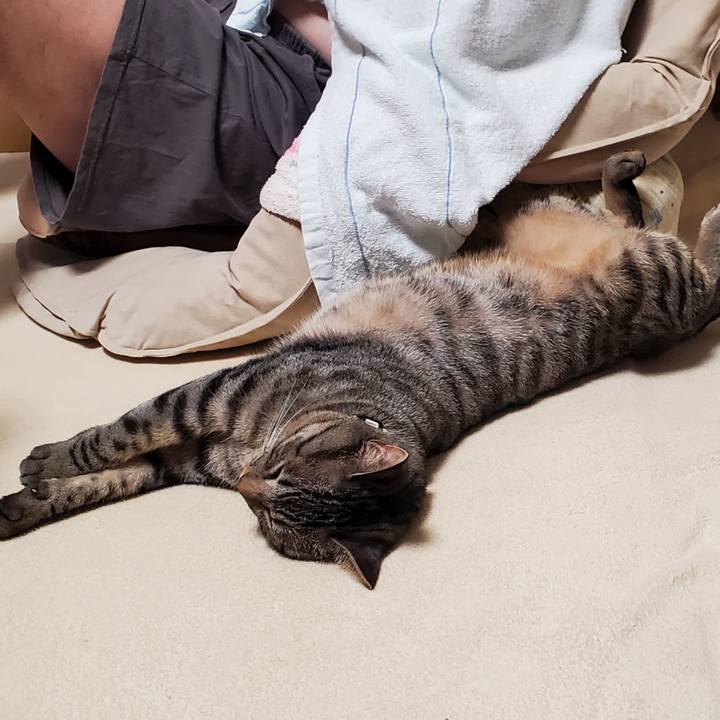 8d0c98ec 508b 425b 8be9 e4710e58212d 1700916696035