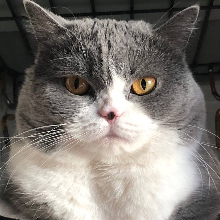 8d0ce53a 7e96 4f93 bb8a cd50074c285d 1517960102872