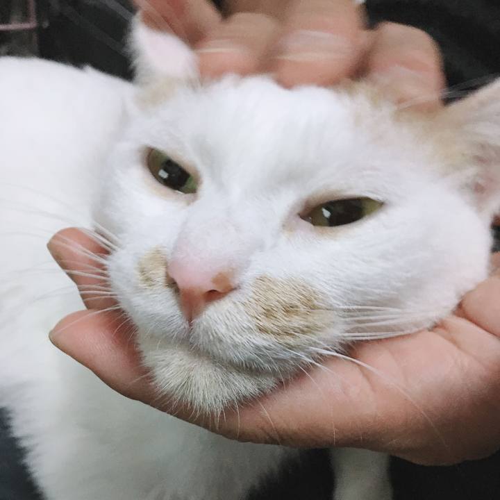 8d0cee67 7b74 422c 9cb0 59a8e942a090 1573985016039