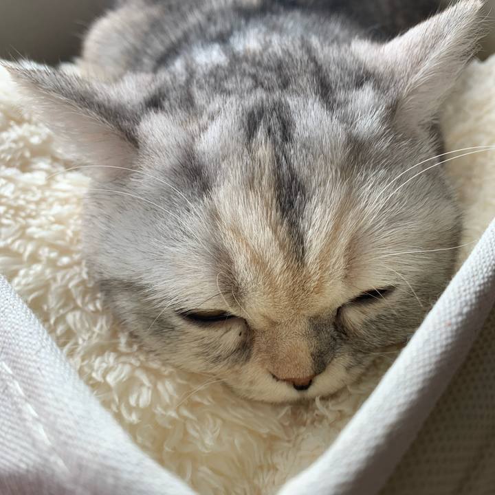 8d0ceeba b86c 41ff a188 34e7984a1861 1709346009529