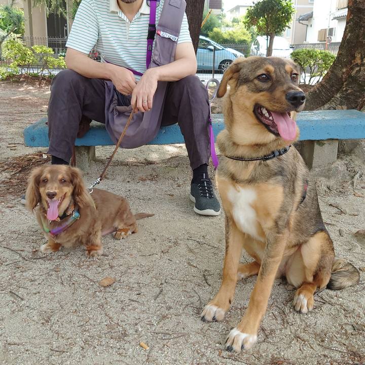 8d0cf5ff e278 48c3 aa44 998e5a0fd401 1687909047644