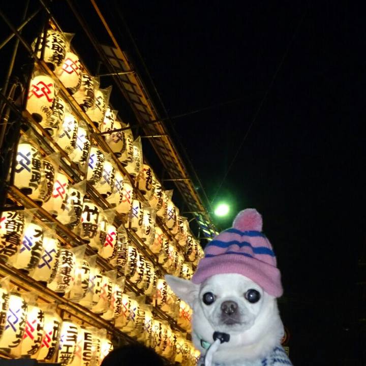 8d0d1e7c 1eb2 4c64 a5ec 901c77a6b21a 1511011679350