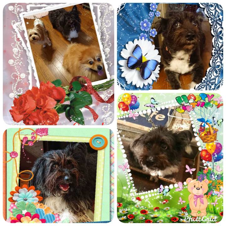 8d0d4d8b 9c22 4bf9 b798 32469c127aa9 1567983182921