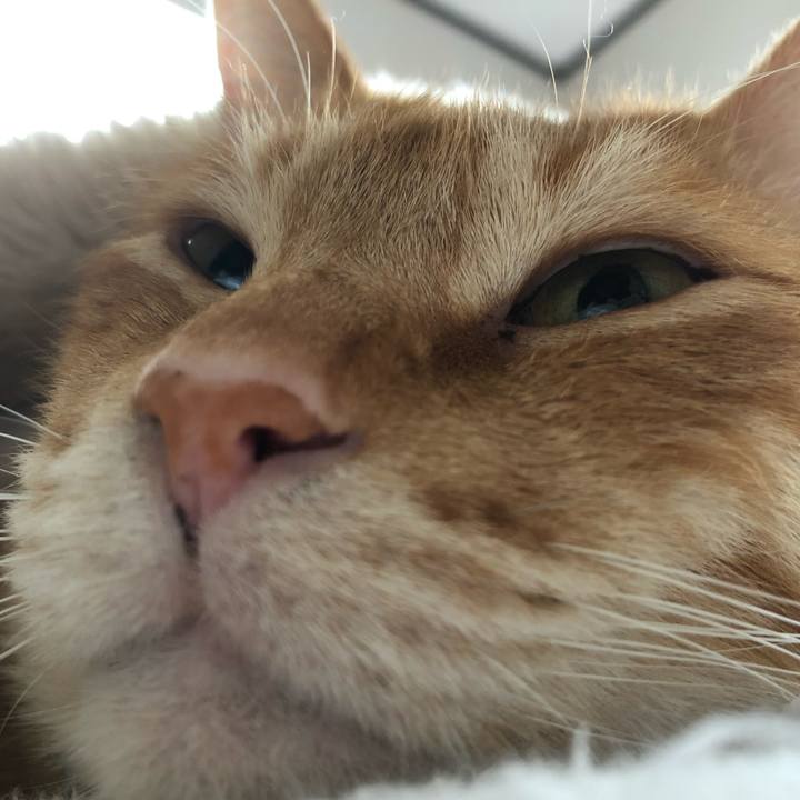 8d0d5e5a 6965 4847 ad11 15f64c67b18e 1578715877677