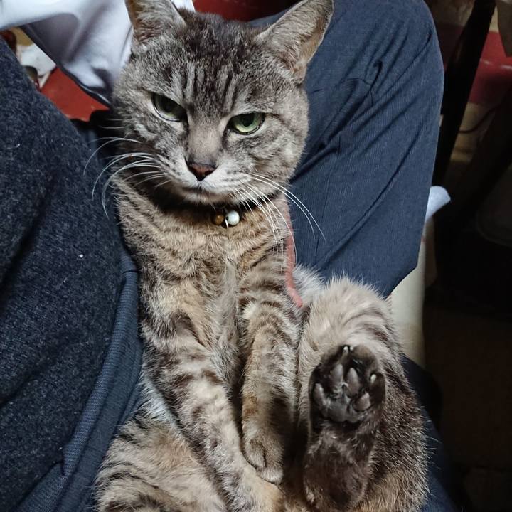 8d0d7017 eb21 488e ad9a 652a4cbbc4bc 1553247551492