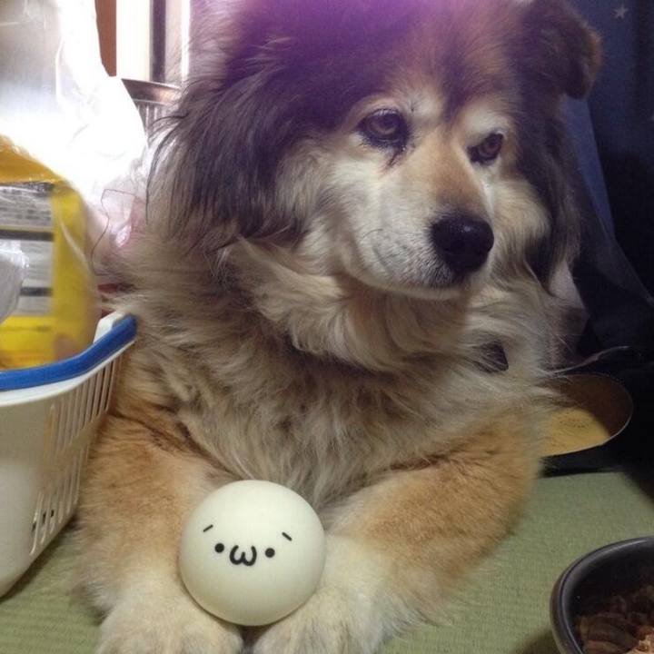 8d0d73af 7992 420e 9514 ce8cadc2780b 1568287958299