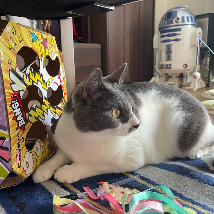 8d0da186 78bc 448b 9739 f52adb3a5d05 1663985666830