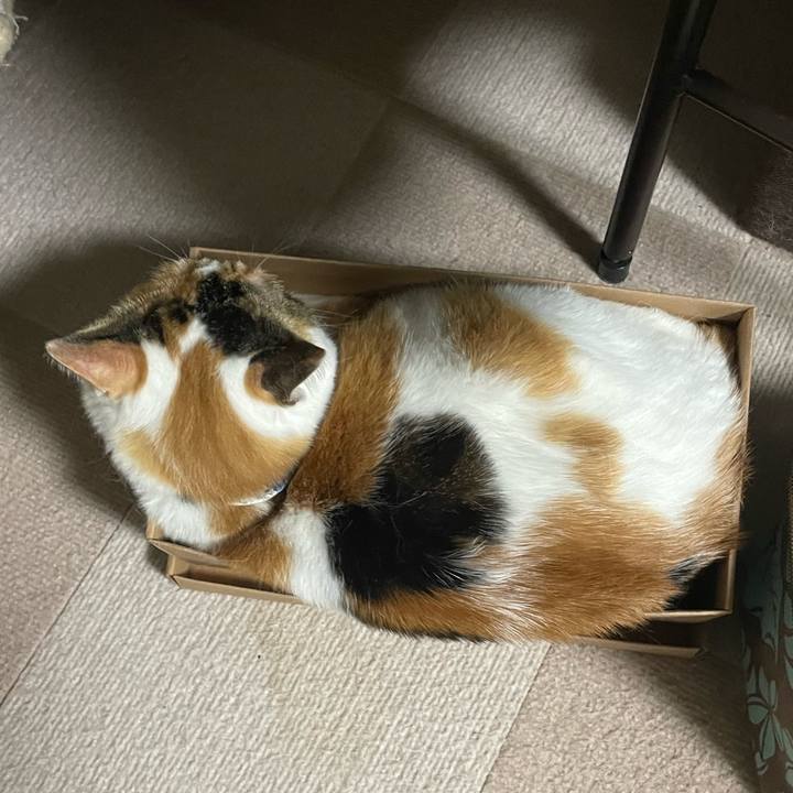 8d0da964 40c7 41a6 bc2c a2fe3e8399ac 1717166755719