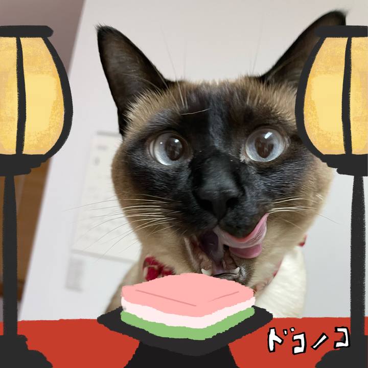 8d0dd4f9 724b 4625 b88a 6efb8079d69f 1741120568868