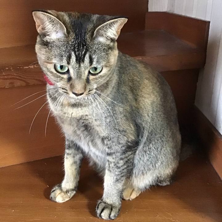 8d0e7fe6 2468 4053 ace8 28fd72df0bdd 1600648336590