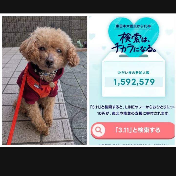 8d0ea5e3 1cfc 4830 a332 e7391d1e01bc 1773185689362