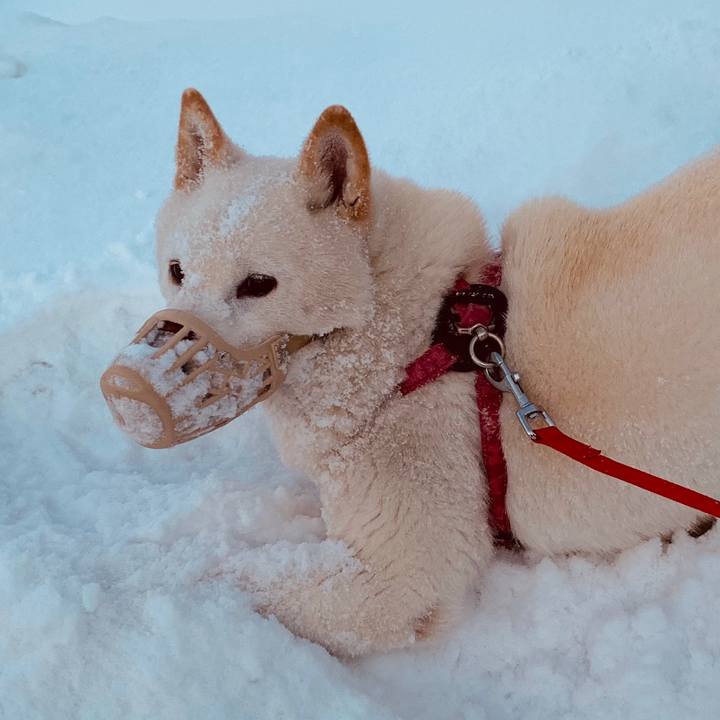 8d0ed03a a62b 4c44 bbfd 1a203c70a7bb 1580158499813