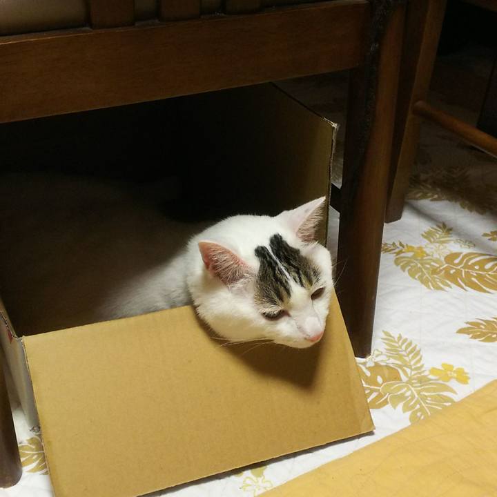 8d0ee96e e22a 41c5 82b8 f22c5e1fae3a 1532764467866