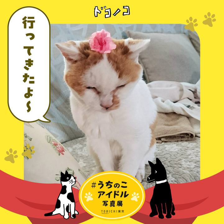 8d0f0d82 f5f8 4f62 be16 6798c8648405 1761823677277