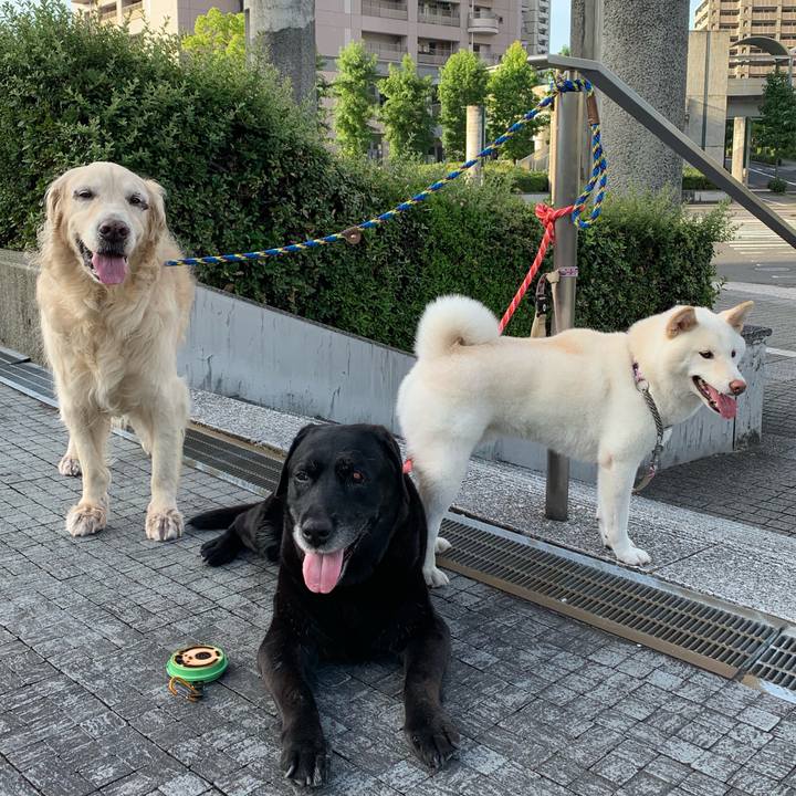 8d0f0e6d 4cdb 448b b8ac 9a3dee5990b4 1565573213675