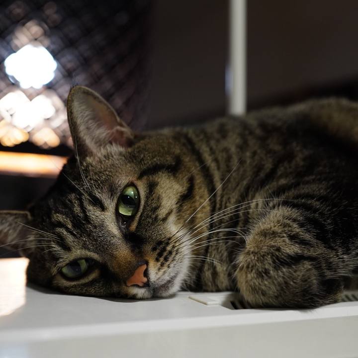 8d0f7187 d391 4f33 9914 382b03ea3d69 1669895437371