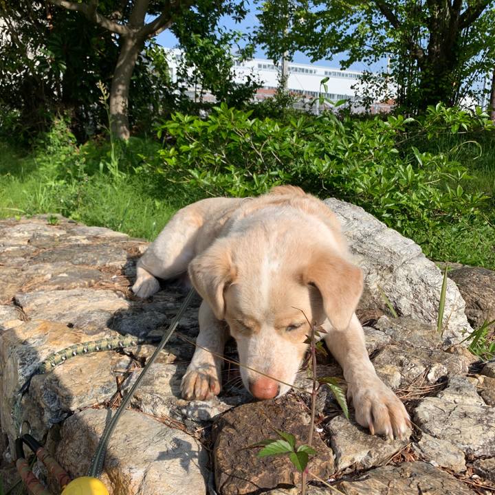 8d0f8f39 5b2f 4f9b 860a 00b10630ac99 1555748781488