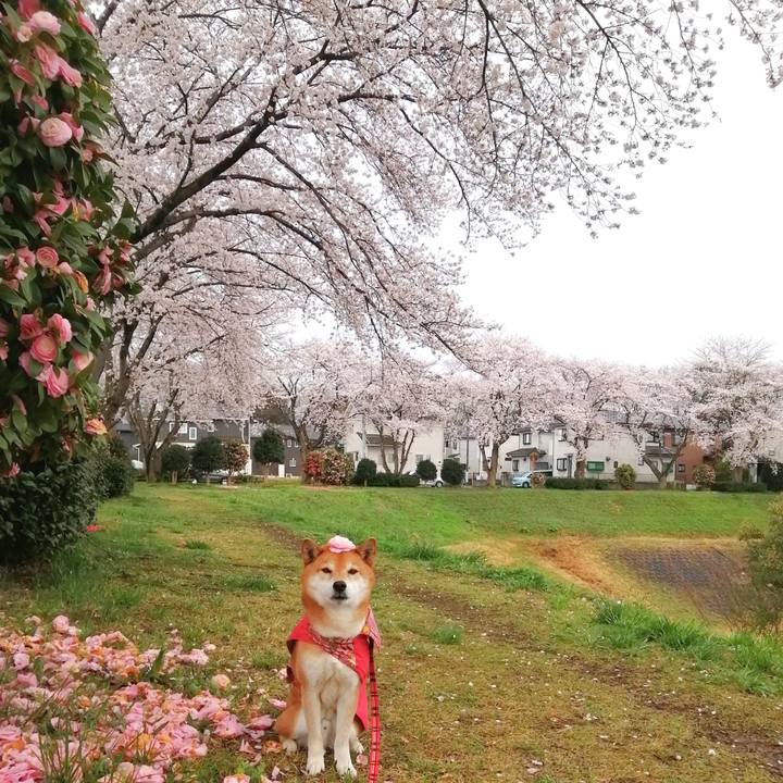 8d0fa7c1 5223 475d 9d3f 193c6029ec28 1679642951152