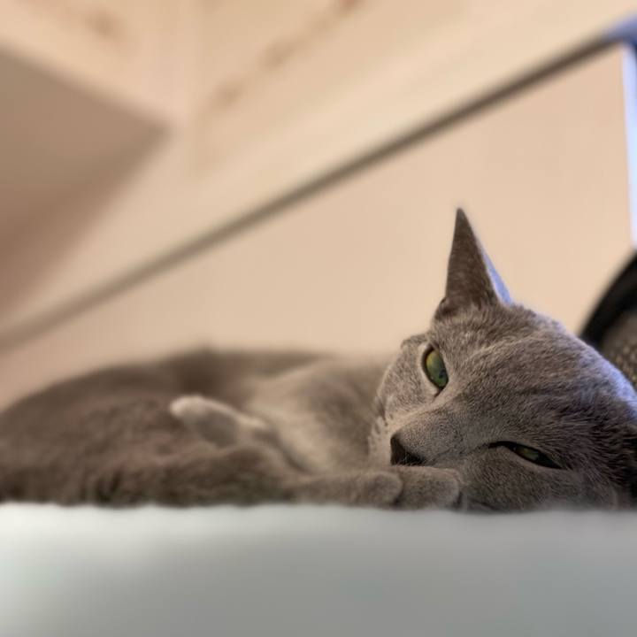 8d0fca93 e28b 4916 9594 37b9a2f0d0c4 1621915261595