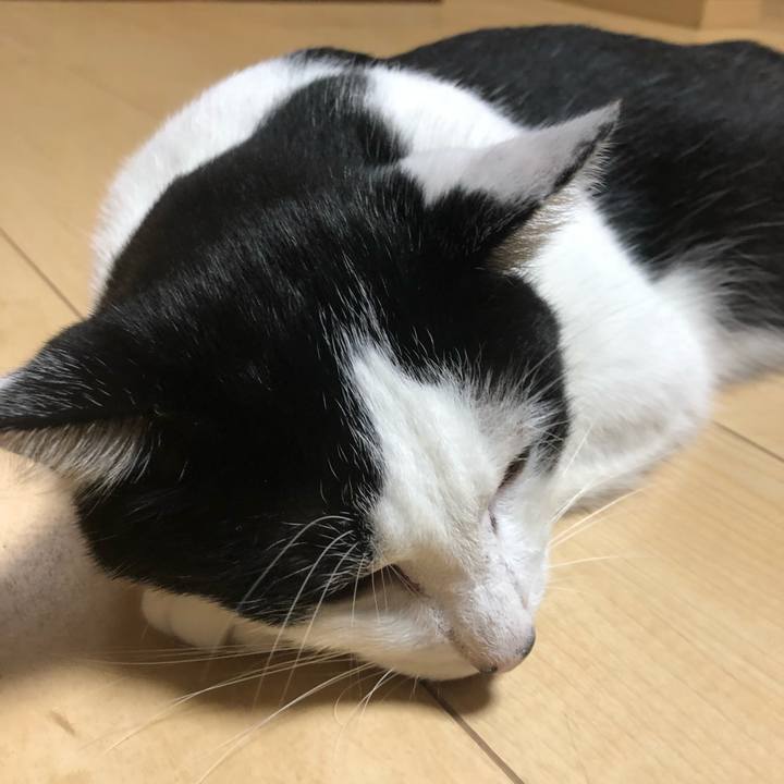 8d0fd241 d5b0 4e81 85a6 d90ca4aaef45 1570794955221