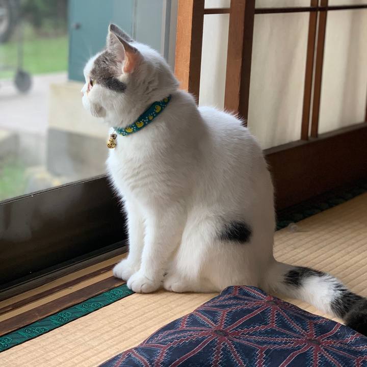 8d102dba b1d4 4951 9a11 d47da4c7e199 1635039072746