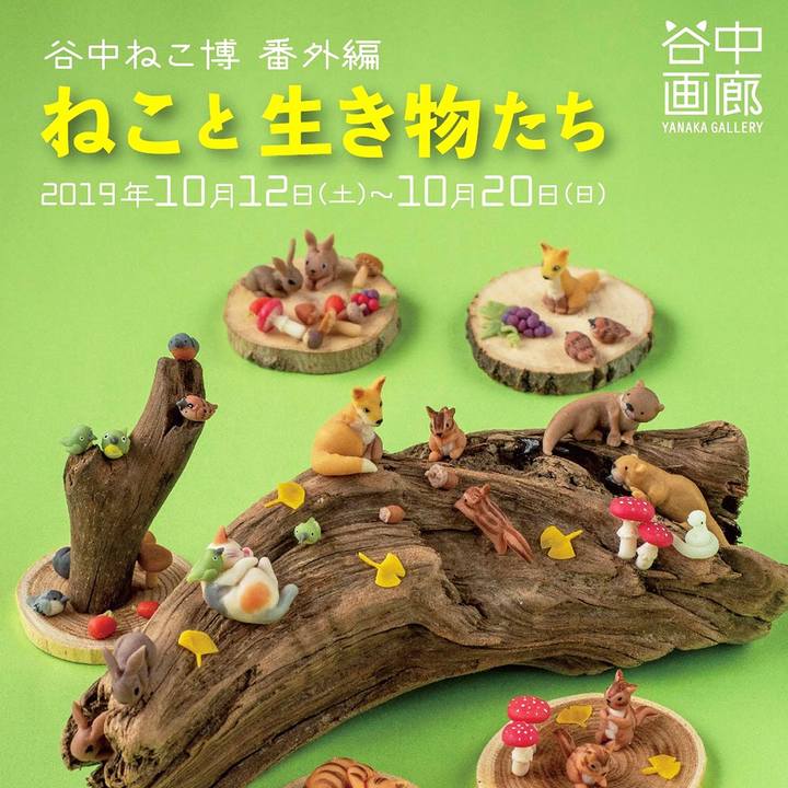 8d103146 d5da 47eb a50f 63c9b3255954 1571474011870