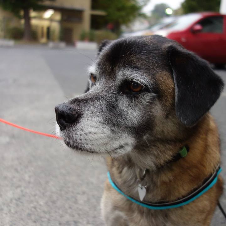 8d1044e8 708d 4ea6 93ec bab0e8f68527 1620521997582