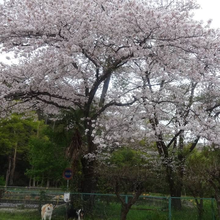 8d104fb3 5106 4e68 a929 f7a37afc7f29 1617268149972