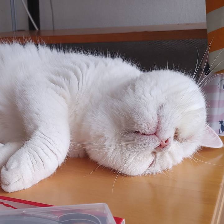 8d1077c5 5c60 498e a1e4 3f0f0dd8e08e 1627347160624