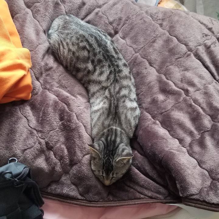 8d1078b4 5a70 4785 bdeb 42f119192025 1678876689571