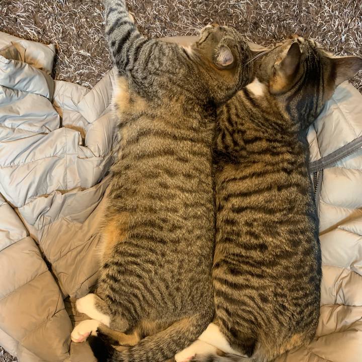 8d109fcd 6bf7 4a40 9a3c b5247eb67e8a 1548032896564