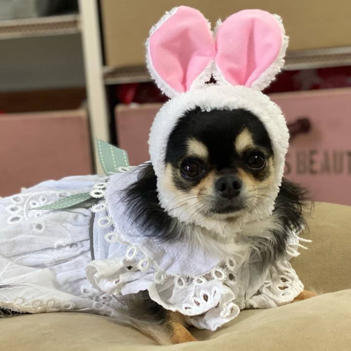 8d10bbaf a8f3 49c2 911a b83a6928b5be 1622019436005