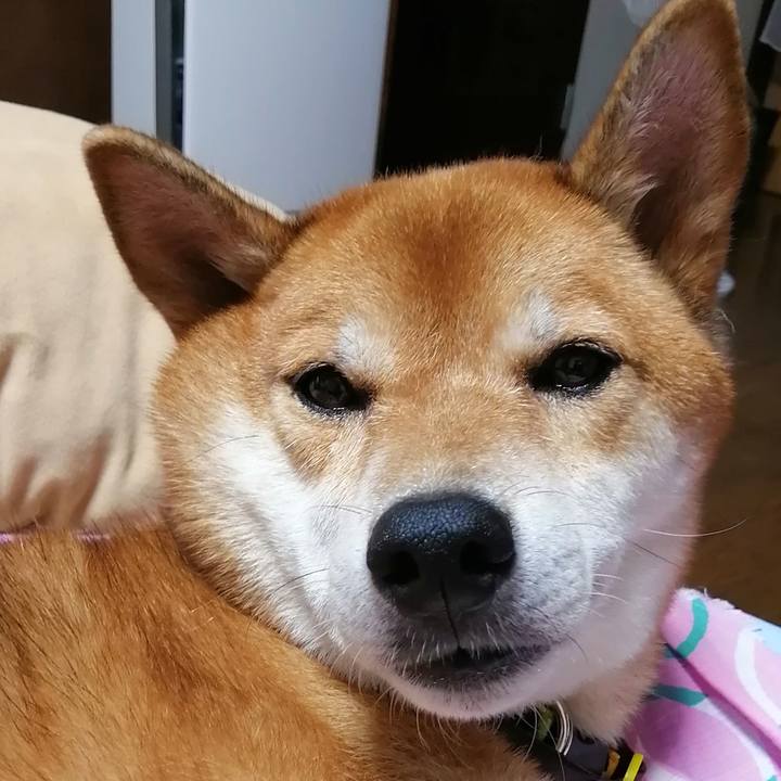 8d10ed53 394e 4671 9faa 4e40f72deca9 1599304531973