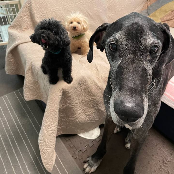 8d111b4c 5bb4 4305 84ba 8c2027095966 1623797831506